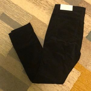NWT LOFT Size 2P Velvet Pants